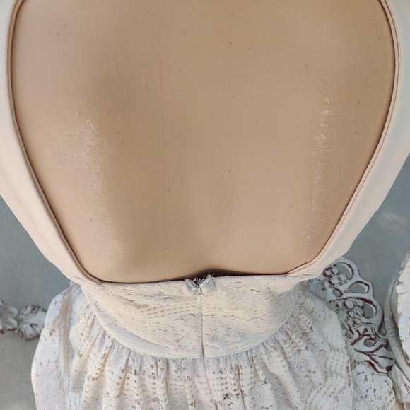 Embroidered floral lace fit and flare mini - Picture 14 of 16